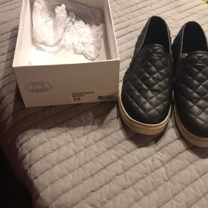 Steve Madden - Ecentrcq Black